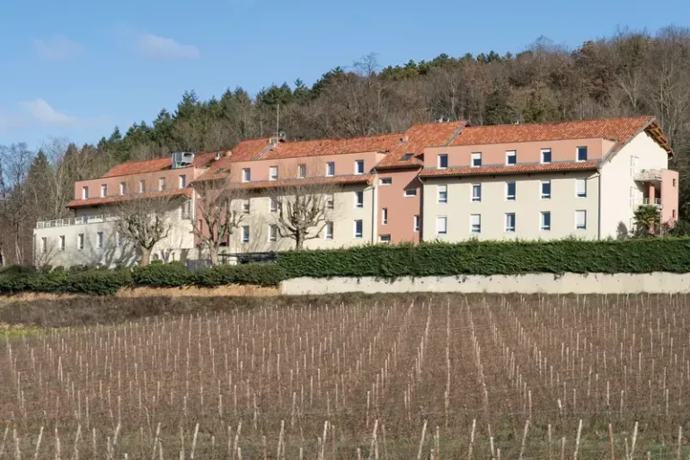 Les Collines Dorées à Charnay